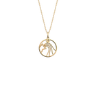 collier-verseau-motif_medium-1