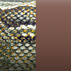 null image number 4