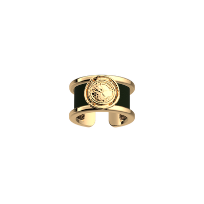 Bague Pépite, cuir réversible Bronze Paillettes / Vert de Gris bague-pepite-cuir-reversible-bronze-paillettes-vert-de-gris-pack_bagues_essentielles