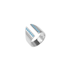 bague-lise-bague_large-1