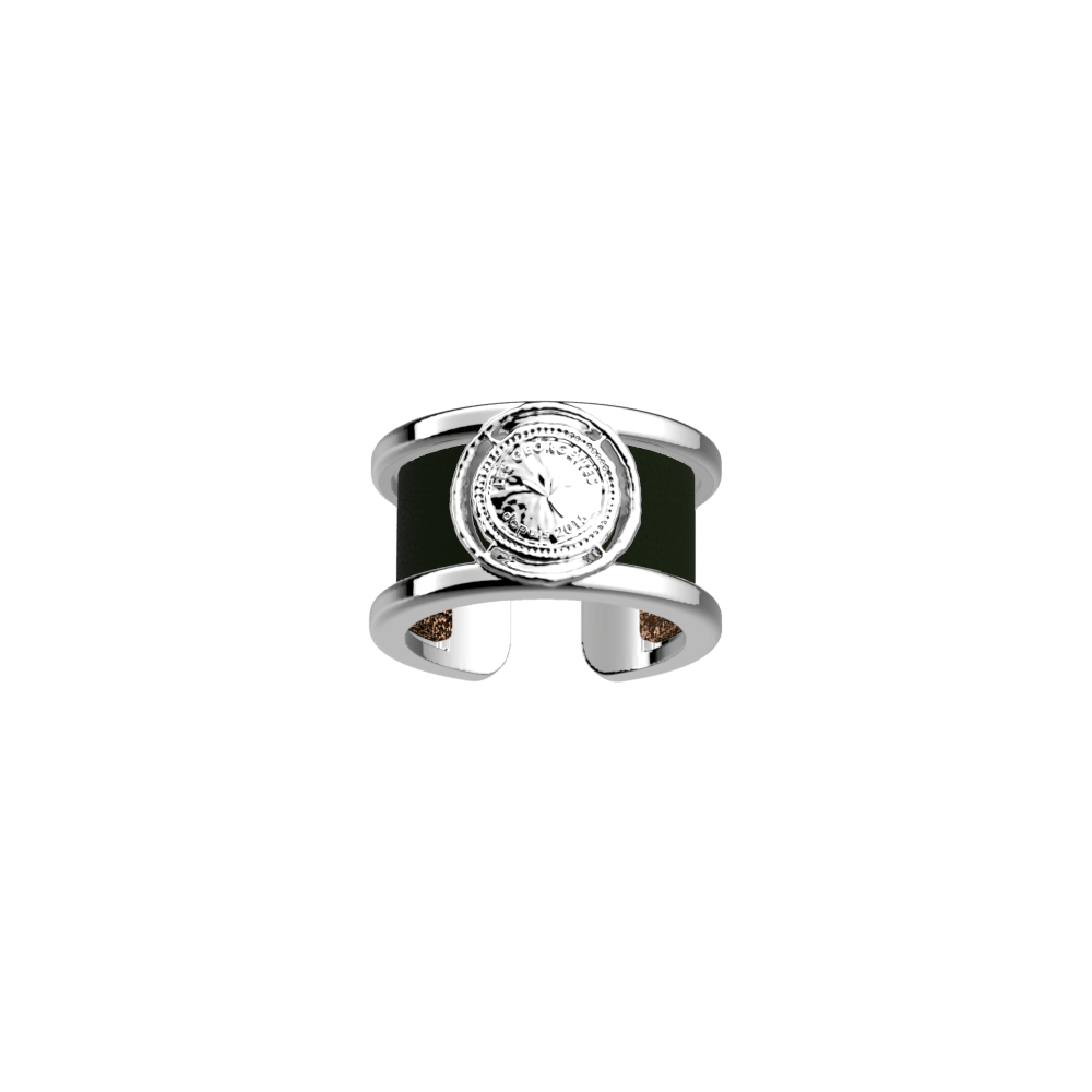 bague-pepite-cuir-reversible-vert-de-gris-bronze-paillettes-pack_bagues_essentielles-1