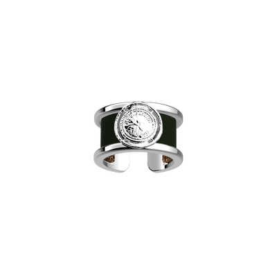 pepite-ring-verdigris-bronze-glitter-reversible-insert-pack_bagues_essentielles