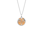 taurus-necklace-bronze-terracotta-reversible-insert-pack_collier_zodiaque-1