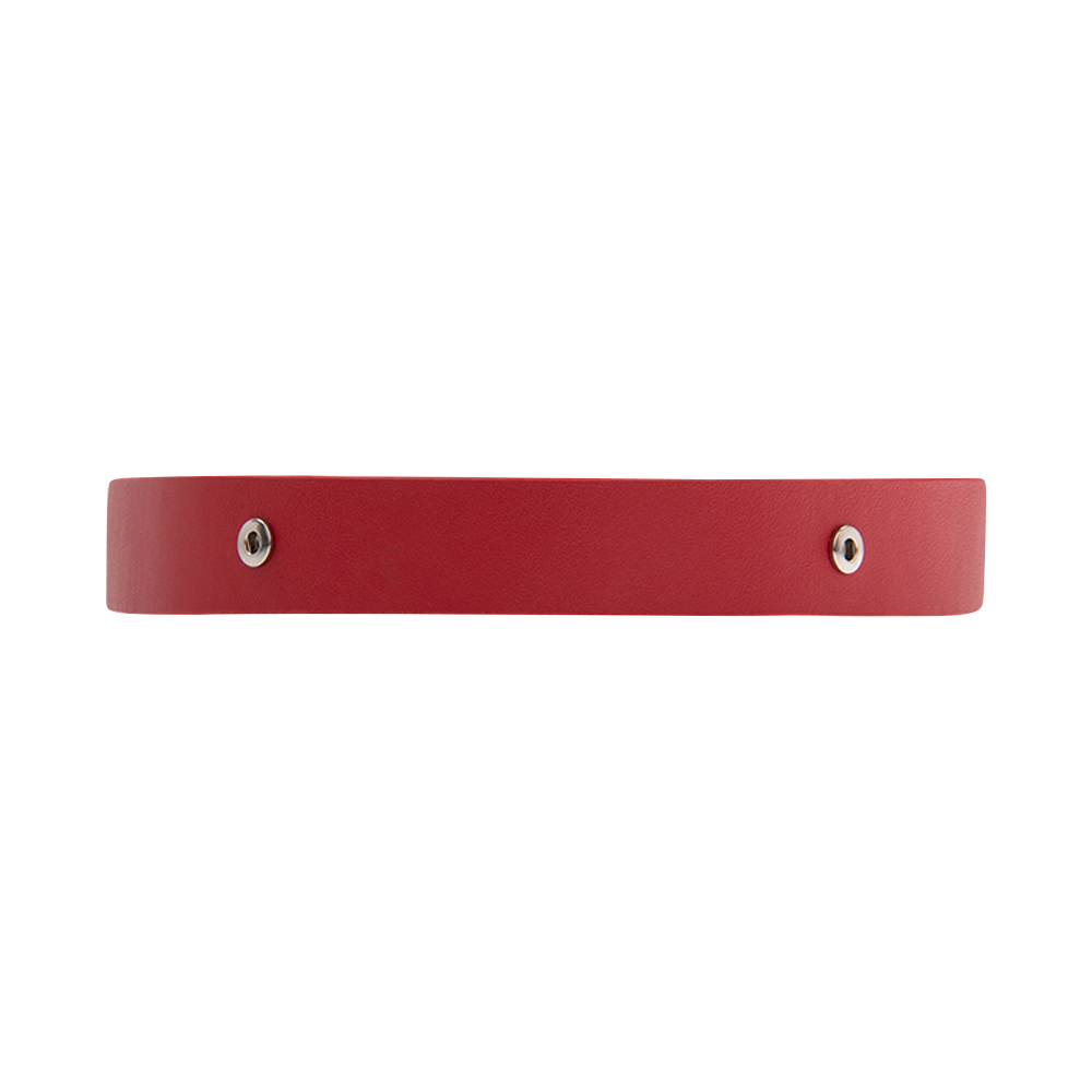bijou-belt-25-mm-width-red-ceinture-1