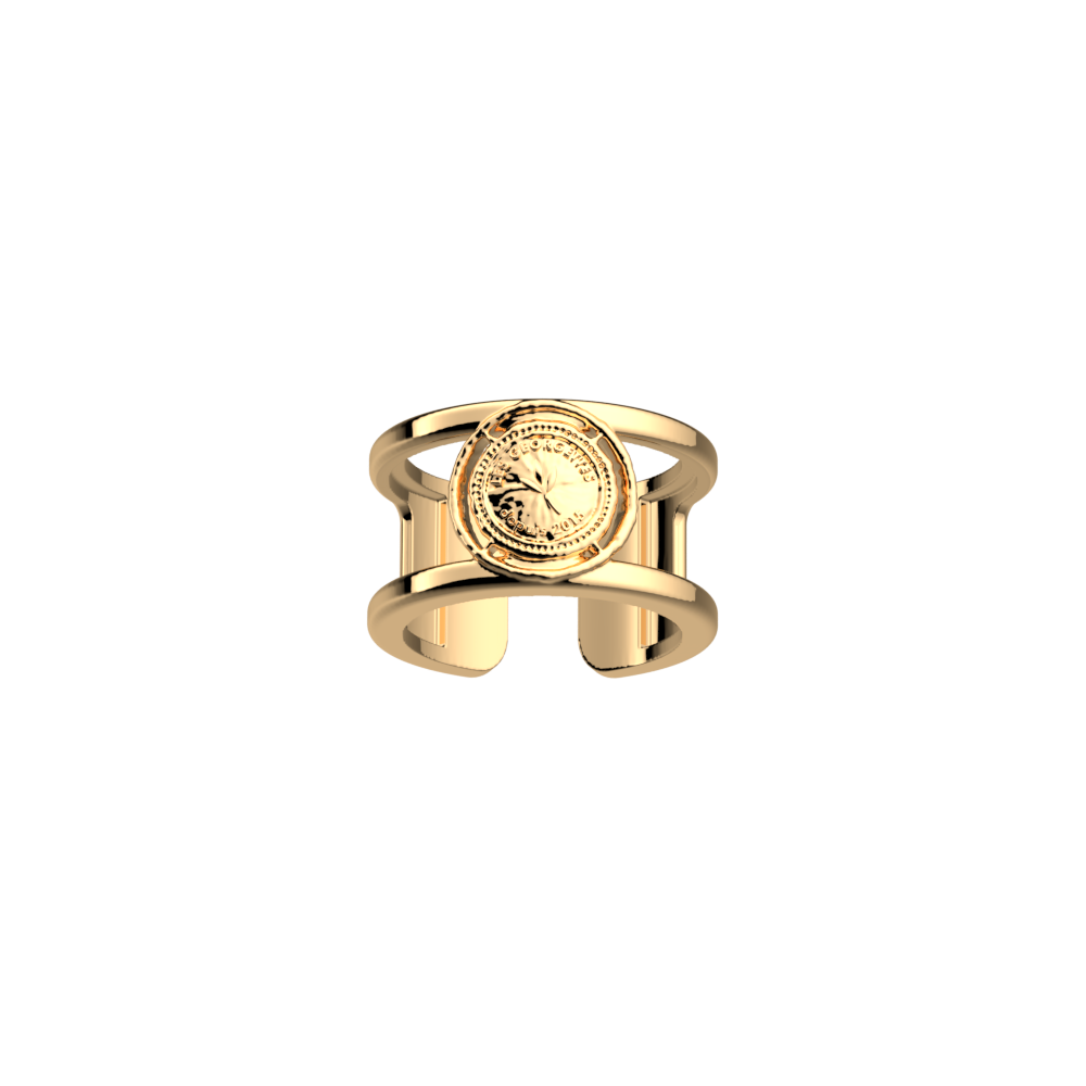Bague Pépite - Les Georgettes - Modalova