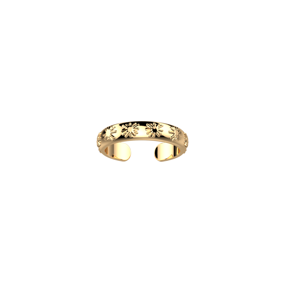 bague-radieuse-bague_fine-1