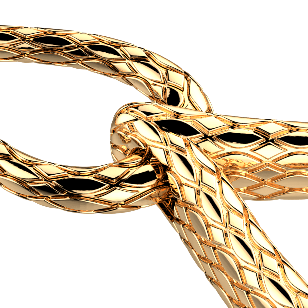 danae-earrings-pendantes-2