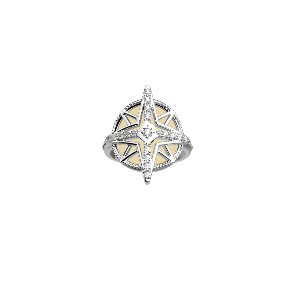 rose-des-vents-ring-fine-sand-caramel-reversible-insert-pack_bague_precieuse-1