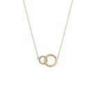 collier-icone-les-intemporels-collier_chaine