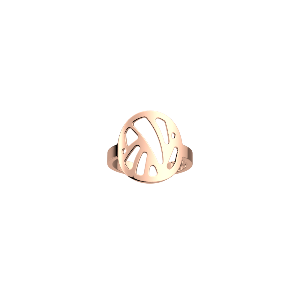 bague-perroquet-bague_large-1
