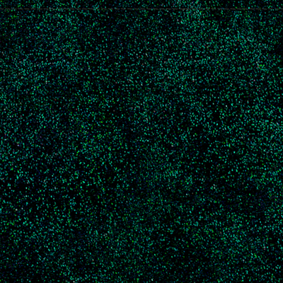 lining-les-dentelles-green-glitter-doublure_de_sac