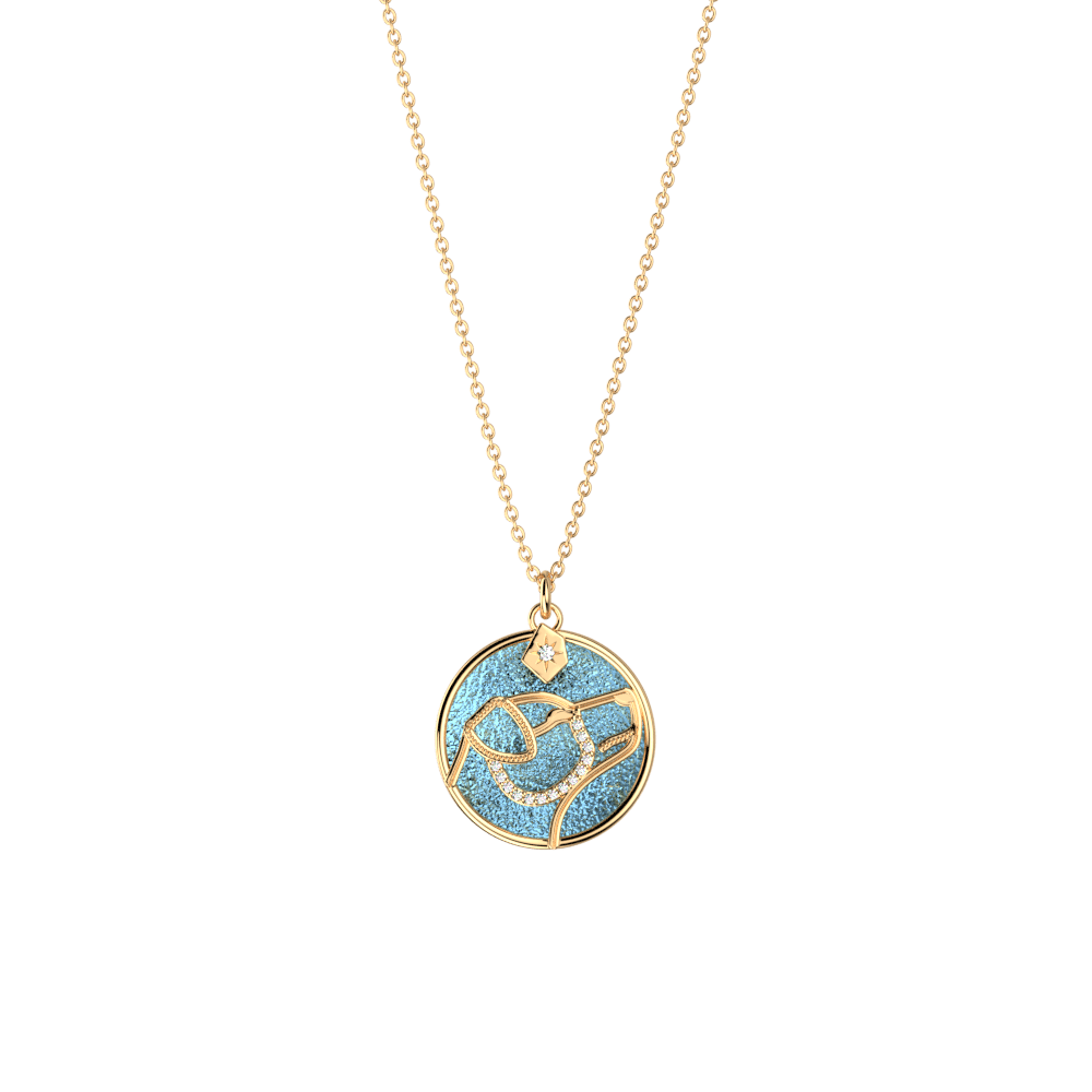 collier-patronus-chien-cuir-reversible-marine-ciel-etoile-pack_colliers-2