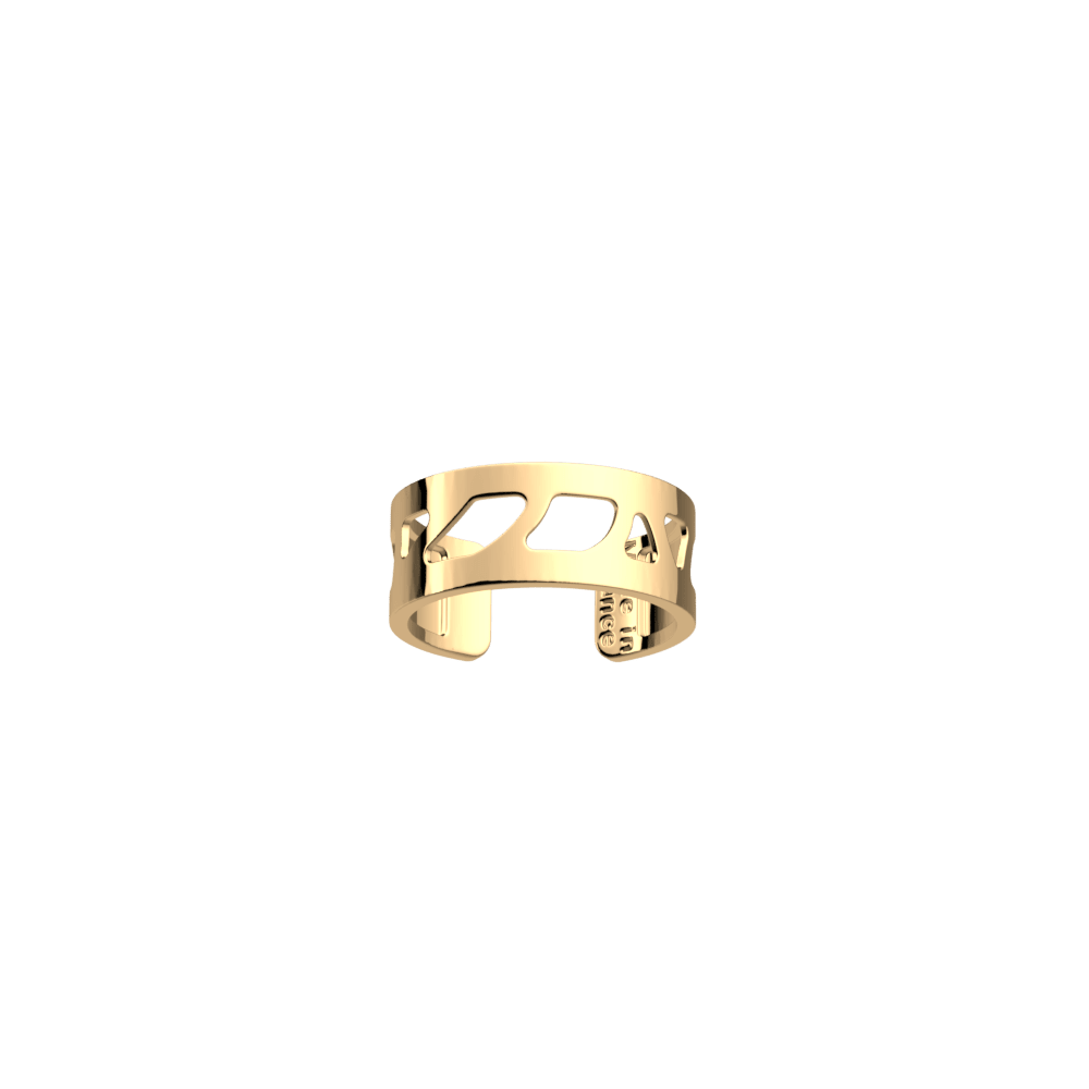 bague-perroquet-bague_small-1
