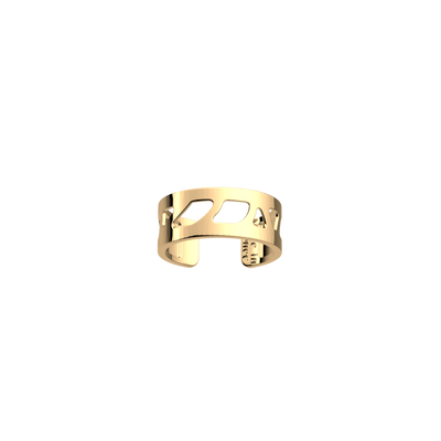 perroquet-ring