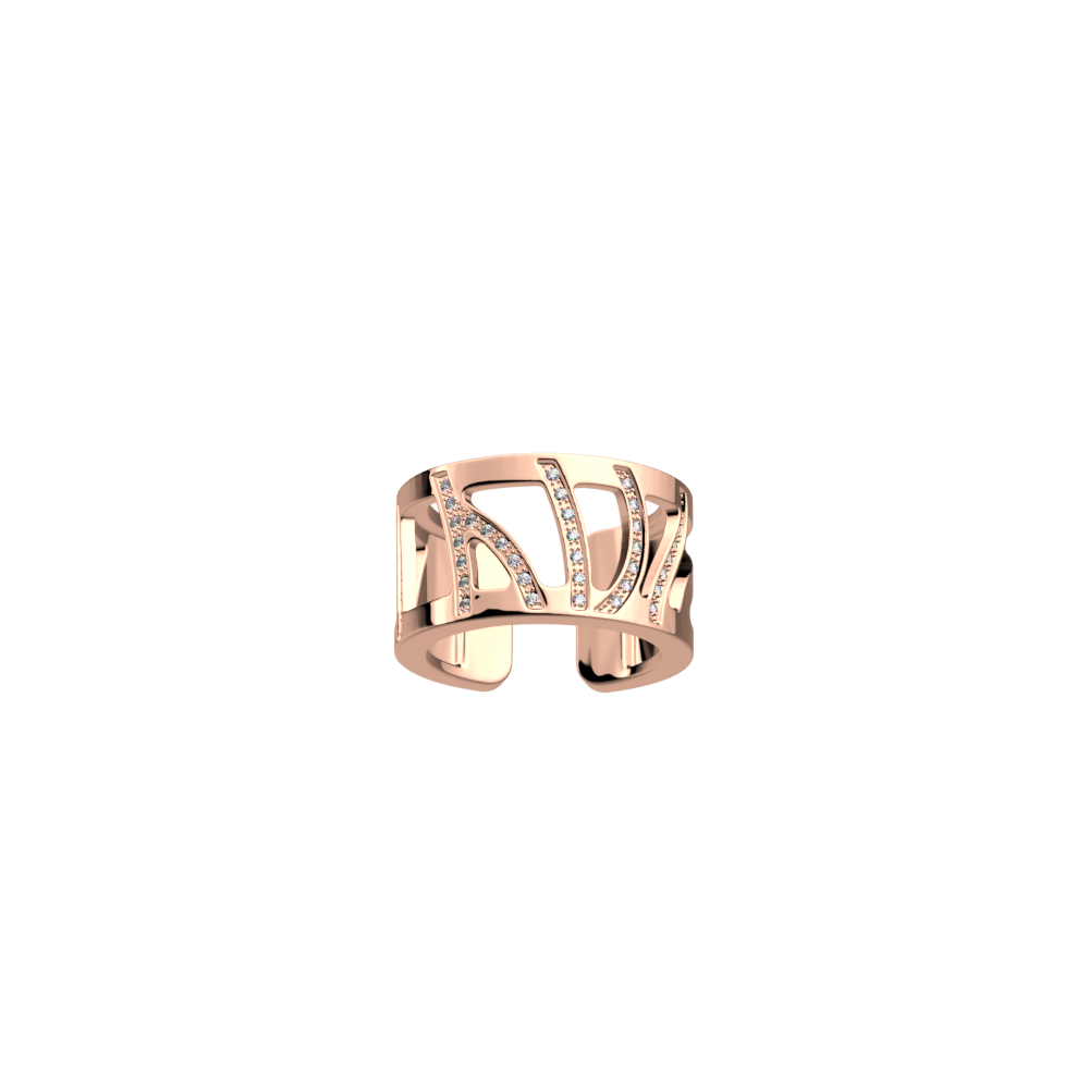 bague-perroquet-bague_large-1