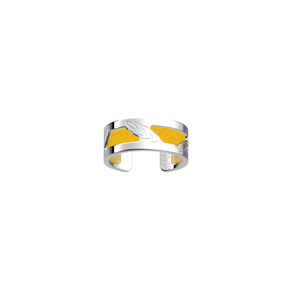 epis-de-ble-ring-sun-gold-reversible-insert-pack_bagues_essentielles-1