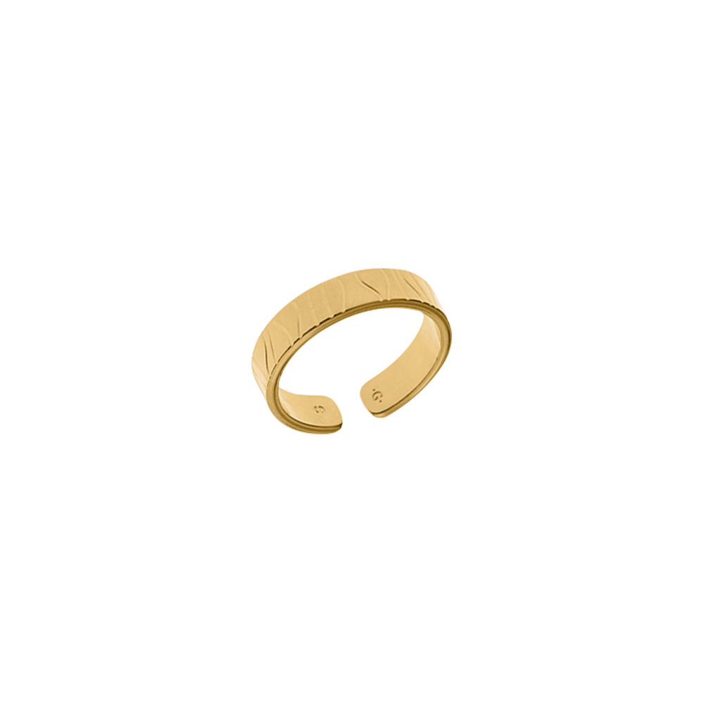 perroquet-ring-bague_small-1