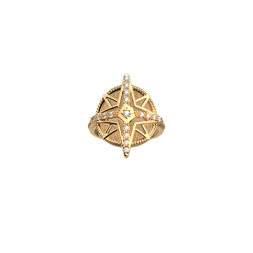 rose-des-vents-ring-caramel-fine-sand-reversible-insert-pack_bague_precieuse-1