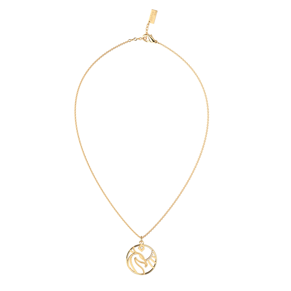 collier-patronus-phoenix-collier_moyen-5