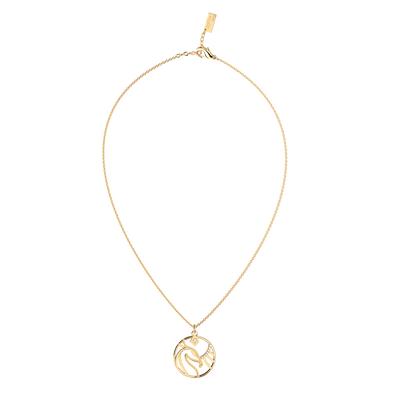 phoenix-patronus-necklace-collier_moyen