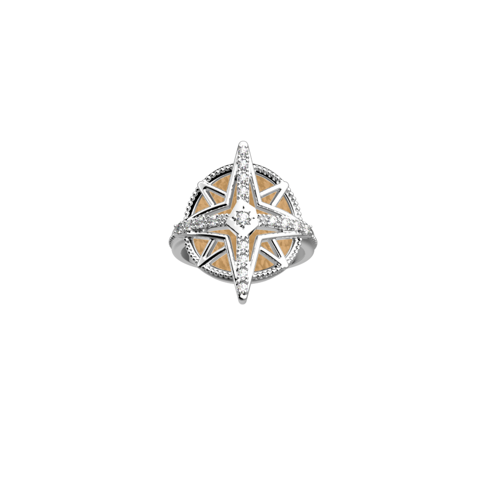rose-des-vents-ring-fine-sand-caramel-reversible-insert-pack_bague_precieuse-2