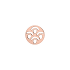 jeton-rond-poisson-finition-doree-rose-jeton_rond_ess-1
