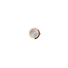 absolue-round-watch-case-absolue