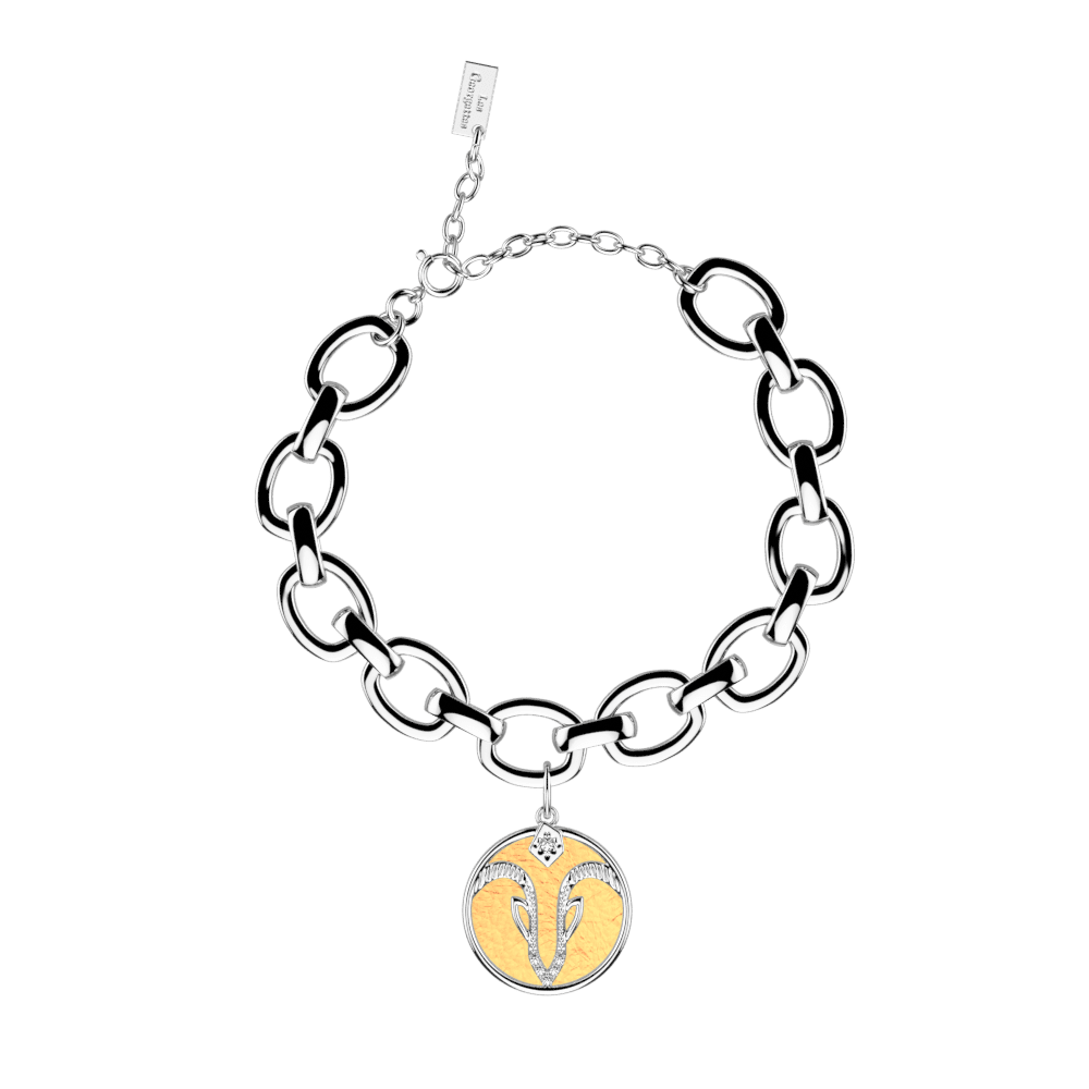 capricorn-bracelet-copper-mango-reversible-insert-pack_bracelets_zodiaque-1