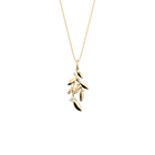 collier-oliveraie-motif_medium-1
