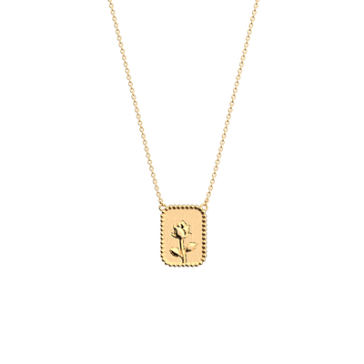 collier-rose-collier_court
