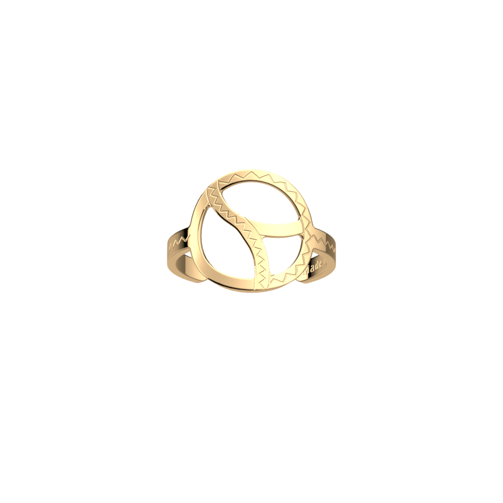 bague-boucles-bague_large-1