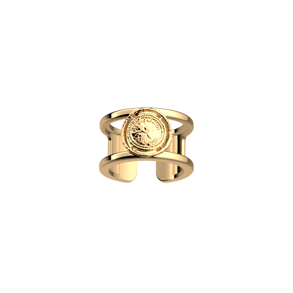 pepite-ring-bague_large-1