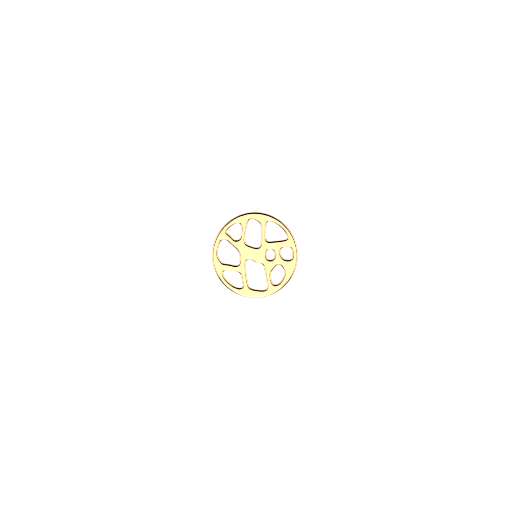 fougeres-token-round-16-mm-gold-finish-jeton_les_clipsables-1
