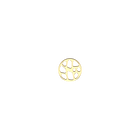 fougeres-token-round-16-mm-gold-finish-jeton_les_clipsables-1