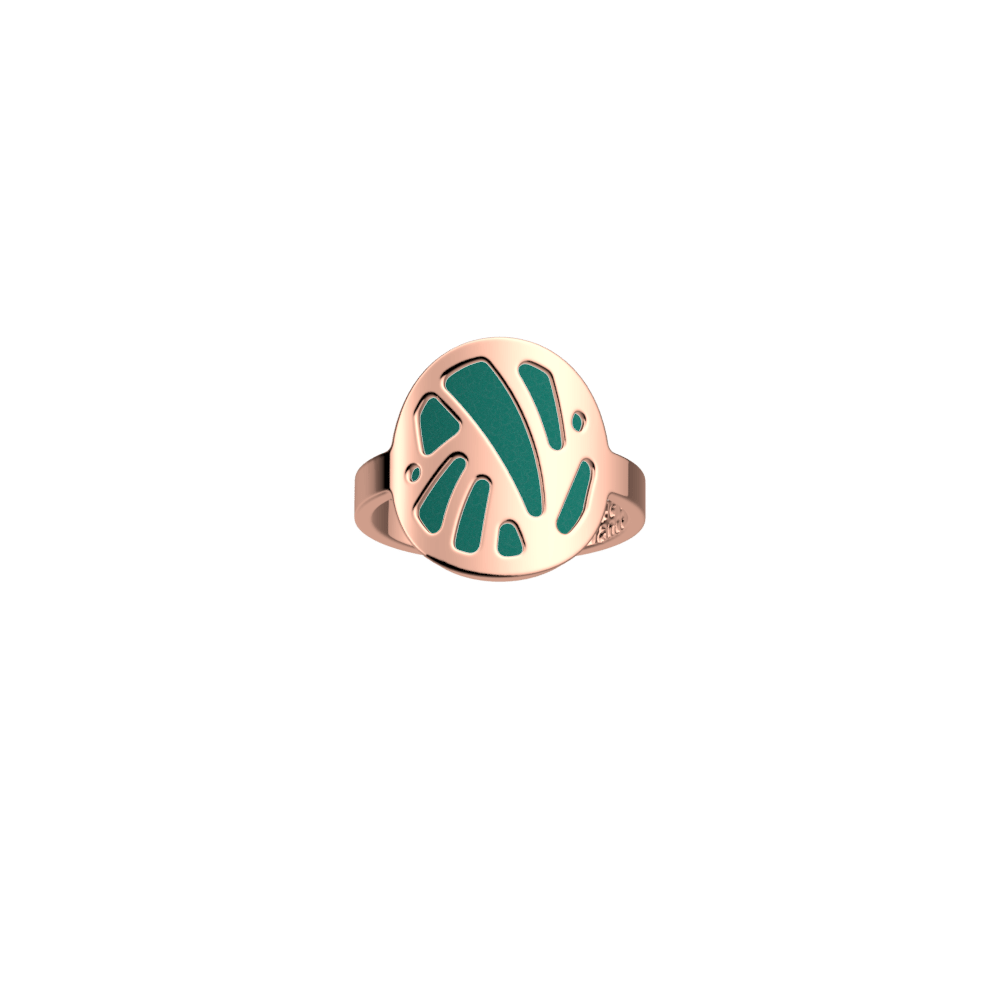 perroquet-ring-nude-aquatic-reversible-insert-pack_bagues_essentielles-2