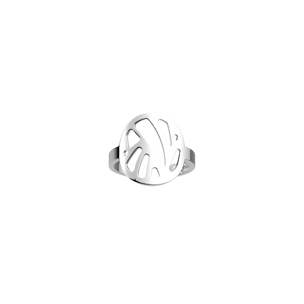 bague-perroquet-bague_large-1