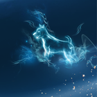 collier-patronus-chien-collier_moyen-7