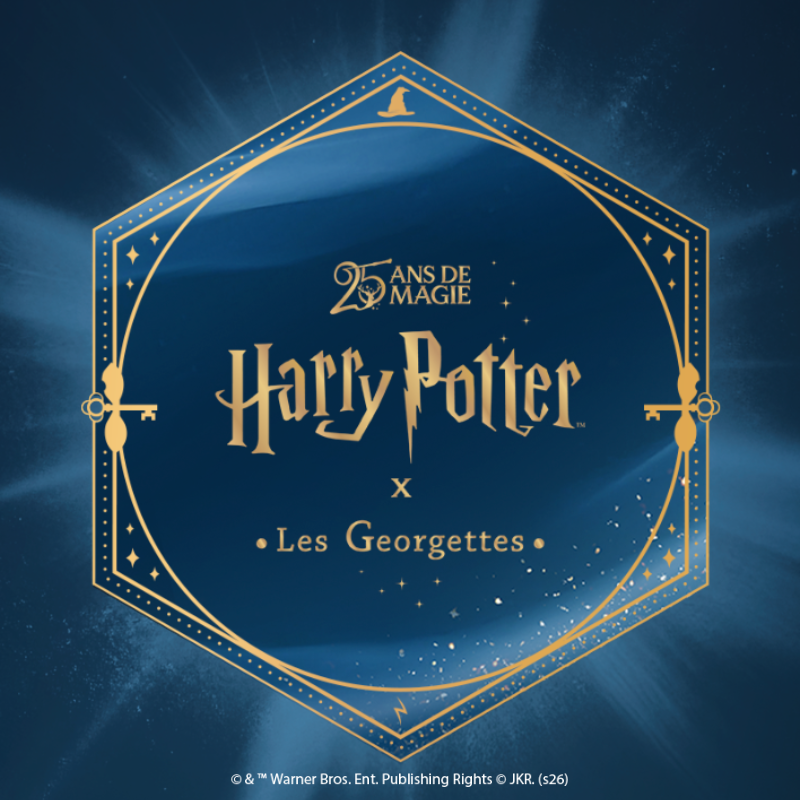 harry-potter-les-georgettes