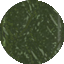 ecailles_vert_iridescent